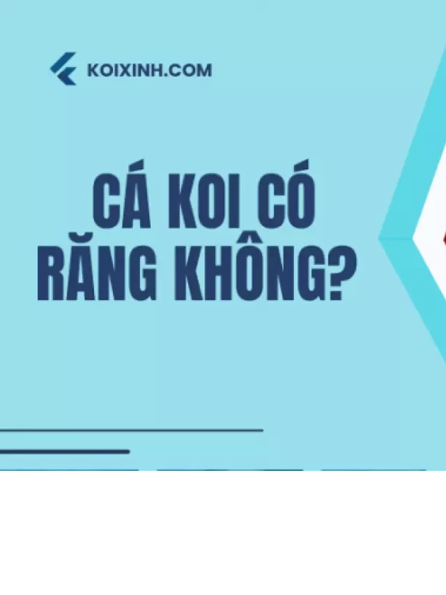   Cá Koi có răng không? Khám phá những điều thú vị về răng cá Koi