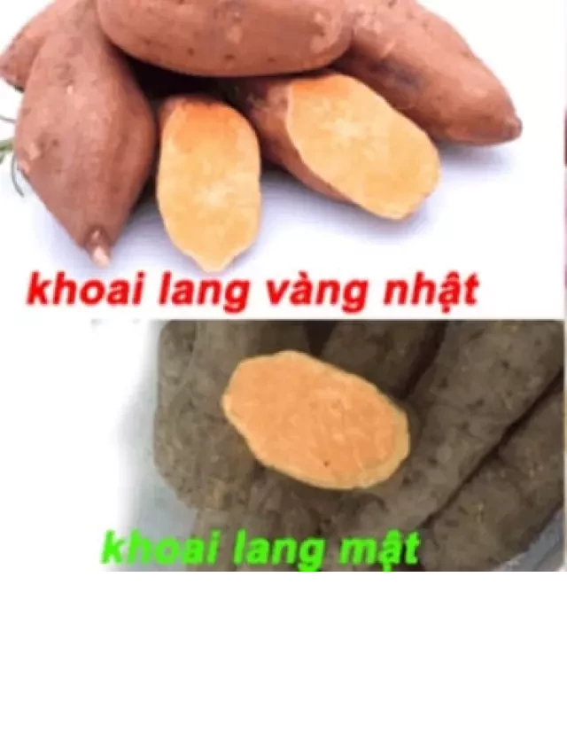   Khoai - Những loại khoai mà bạn có thể chưa biết