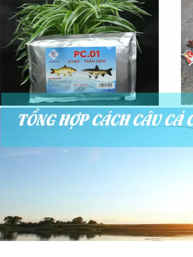   Chia sẻ 5 Bài Mồi Câu Cá Chép Hiệu Quả Nhất