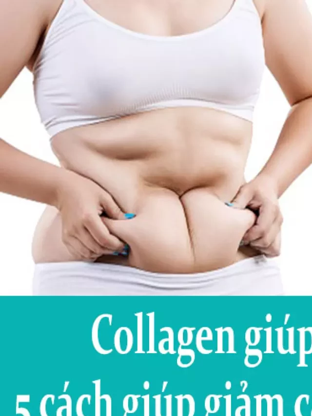   Collagen Giúp Giảm Cân: 5 Cách Giúp Giảm Cân Với Collagen