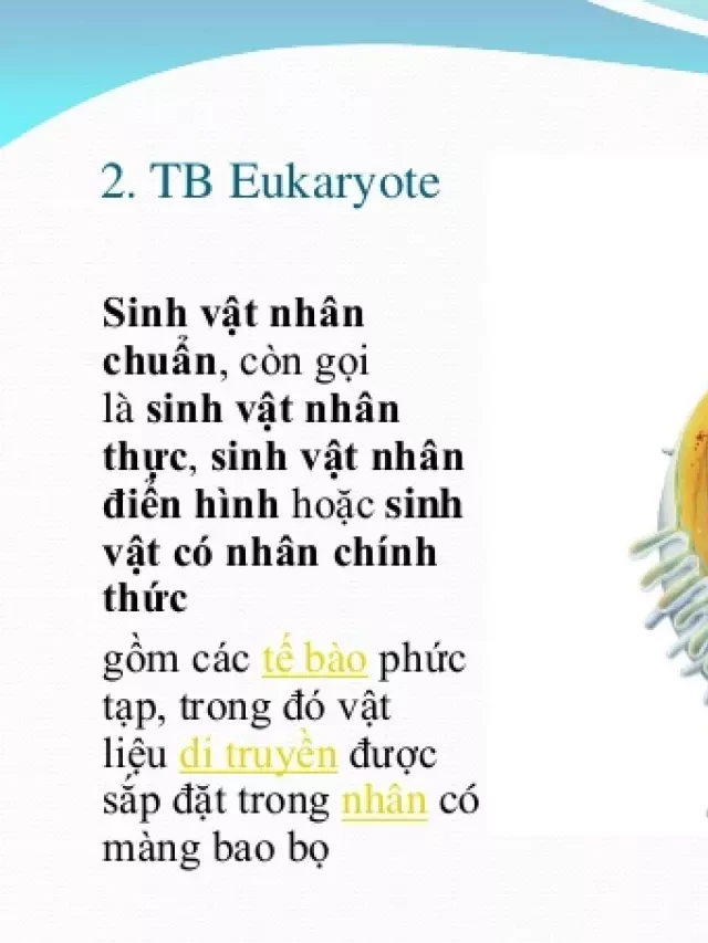   Môi trường axit tác động lên sự sống của sinh vật như thế nào?