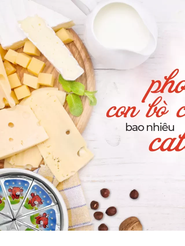   Phô Mai Con Bò Cười - Bí Quyết Giảm Cân Vẫn Thưởng Thức