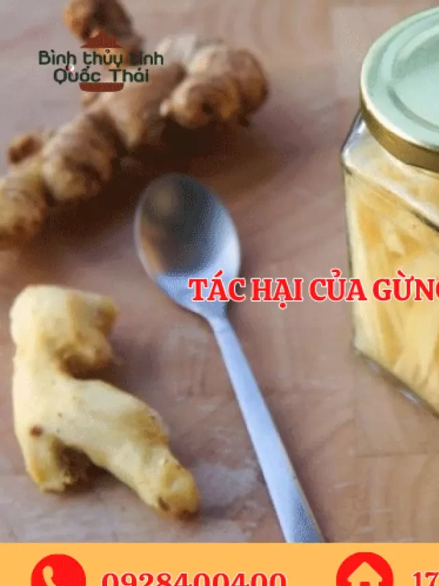   Tác hại của gừng ngâm giấm – Để ý để tránh bệnh