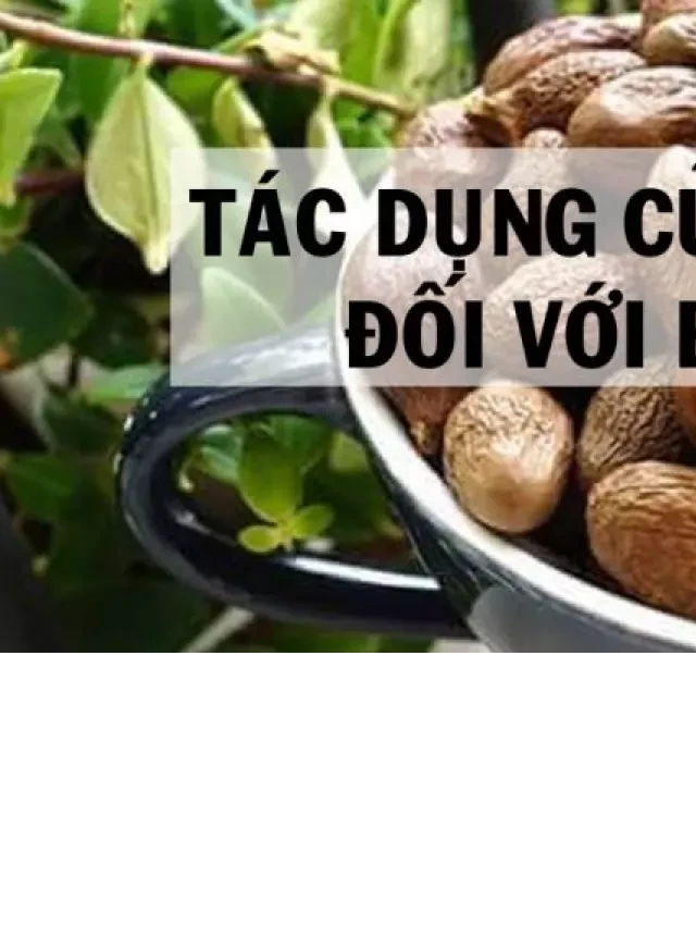   Top 5 Tác dụng đặc biệt của quả Ươi cho bà bầu