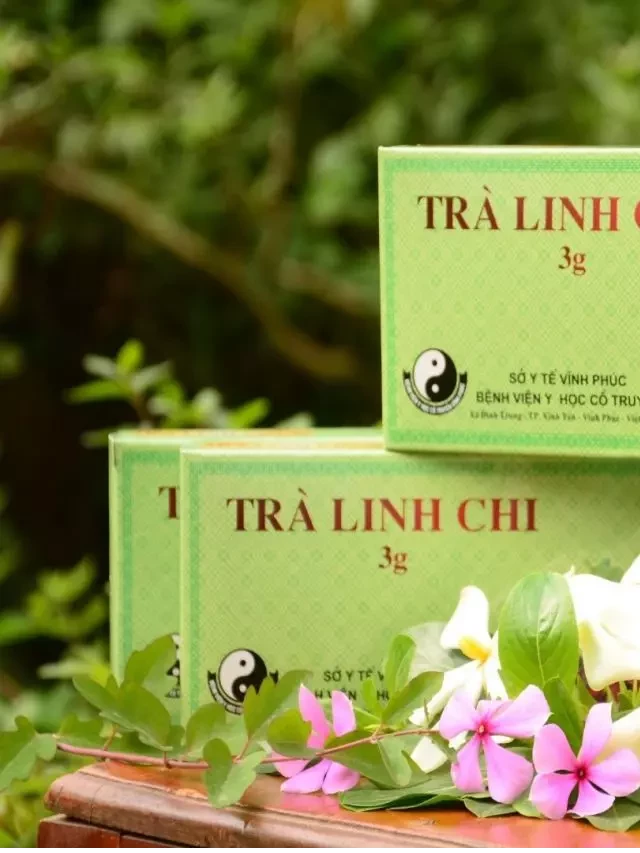   Trà Linh chi táo đỏ – Sức khỏe tuyệt vời cho bạn