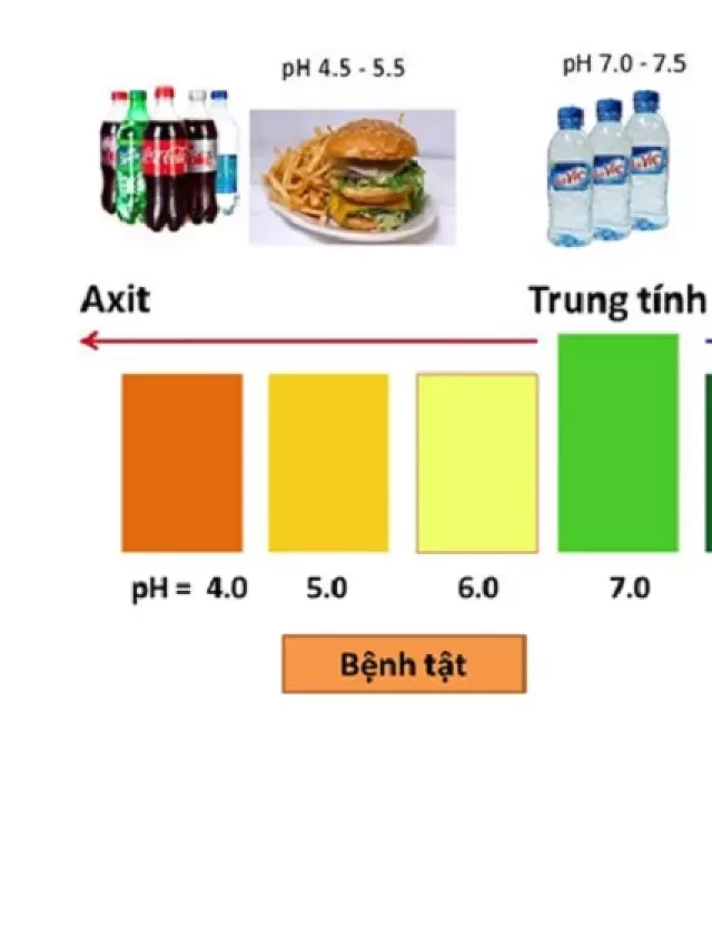   Axit là gì? Phân biệt tính axit, tính kiềm và ứng dụng của axit phổ biến