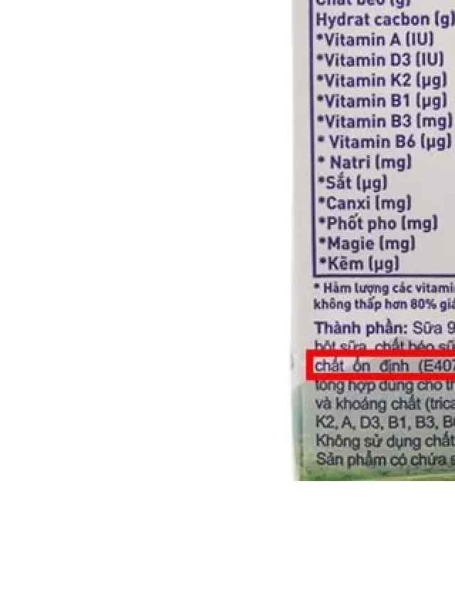   Chất Ổn Định Trong Thực Phẩm: Quan Trọng Và An Toàn Cho Sức Khỏe