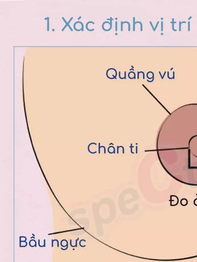   <strong>Phương Pháp Đo Size Phễu Hút Sữa: Mẹ Sữa Hãy Lựa Chọn Chuẩn Nhất</strong>