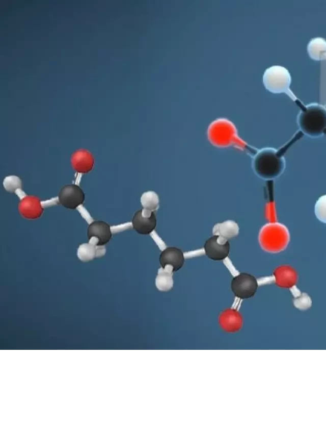   Công thức axit glutamic: Hiểu rõ tính chất và ứng dụng quan trọng