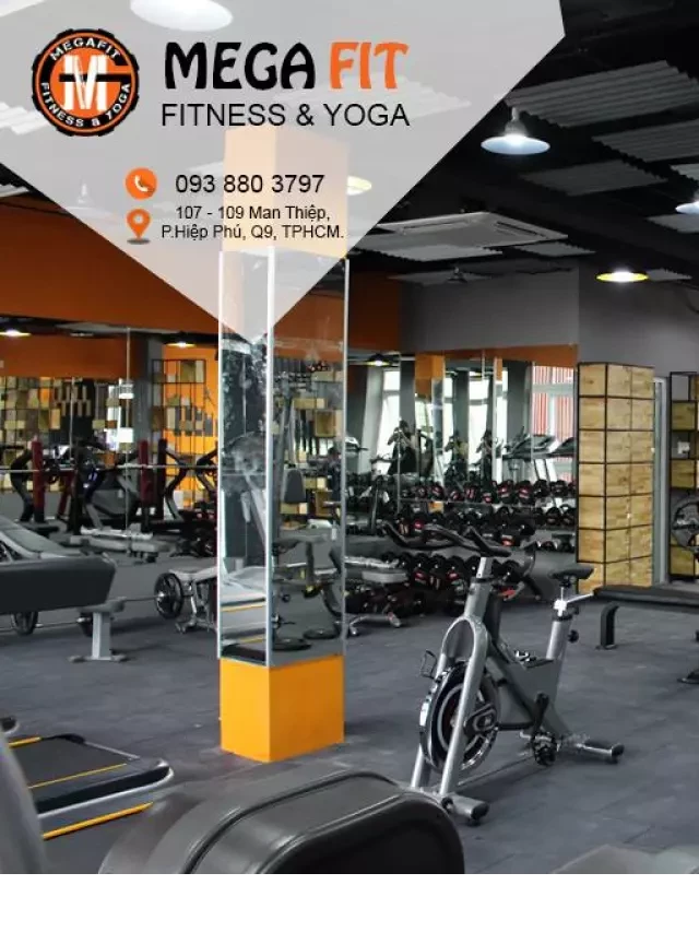   Danh sách 10 phòng tập gym quận 9 hiện đại bậc nhất