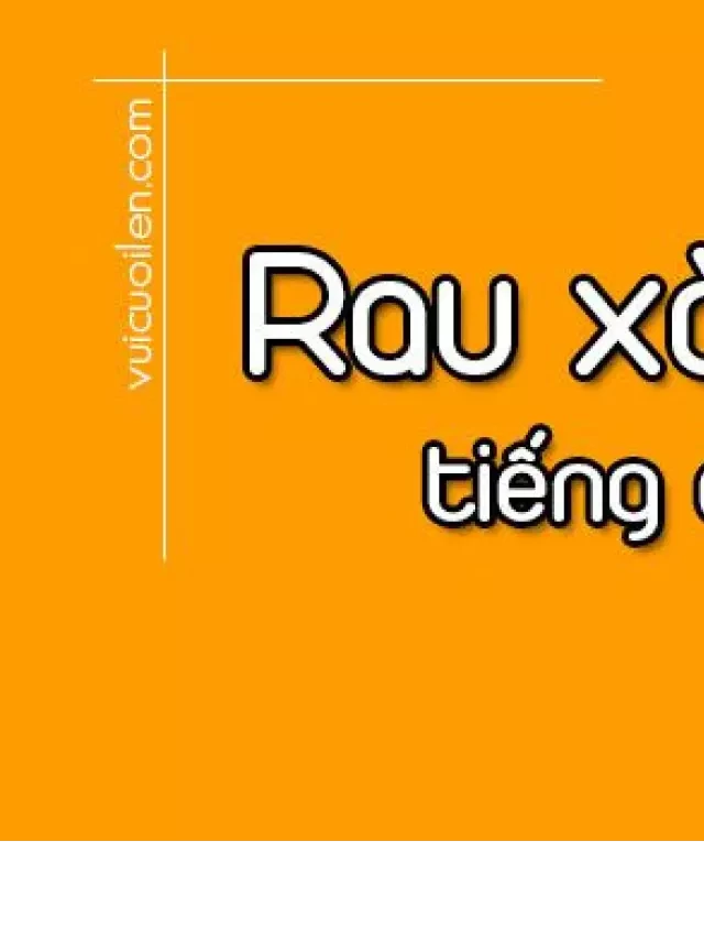   Rau xà lách tiếng Anh: Tên gọi và cách phát âm chuẩn