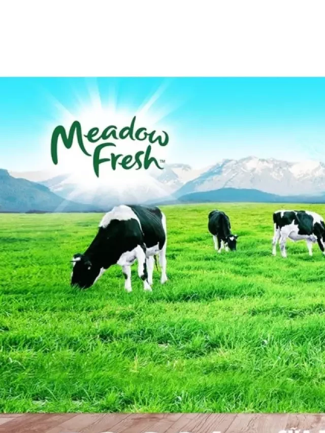   Review Top 5 sữa Meadow Fresh nổi tiếng trên thị trường Việt Nam