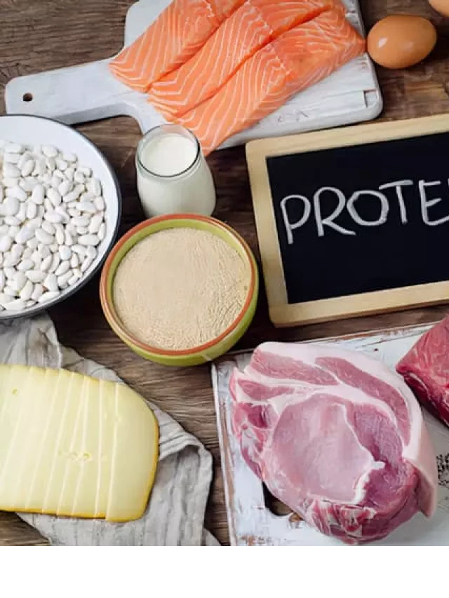   Tìm hiểu về protein: Thành phần, tính chất và cấu tạo