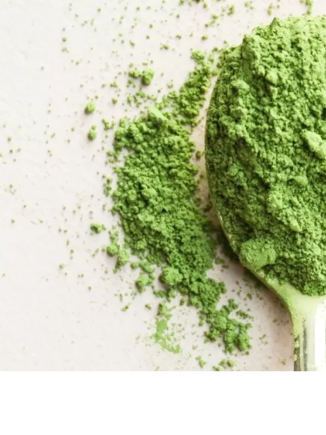   Uống Matcha: Các lợi ích cho sức khỏe và cách sử dụng hiệu quả