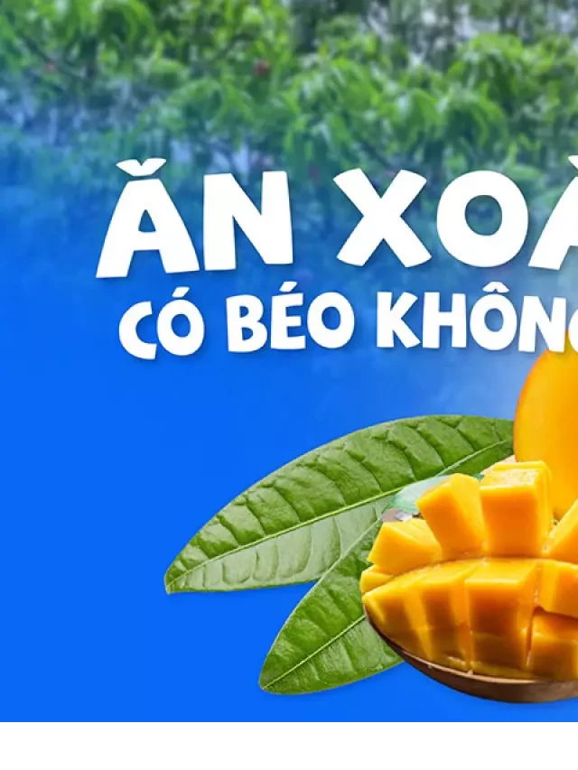   Ăn xoài có béo không? 3 lý do bạn nên ăn xoài mỗi ngày