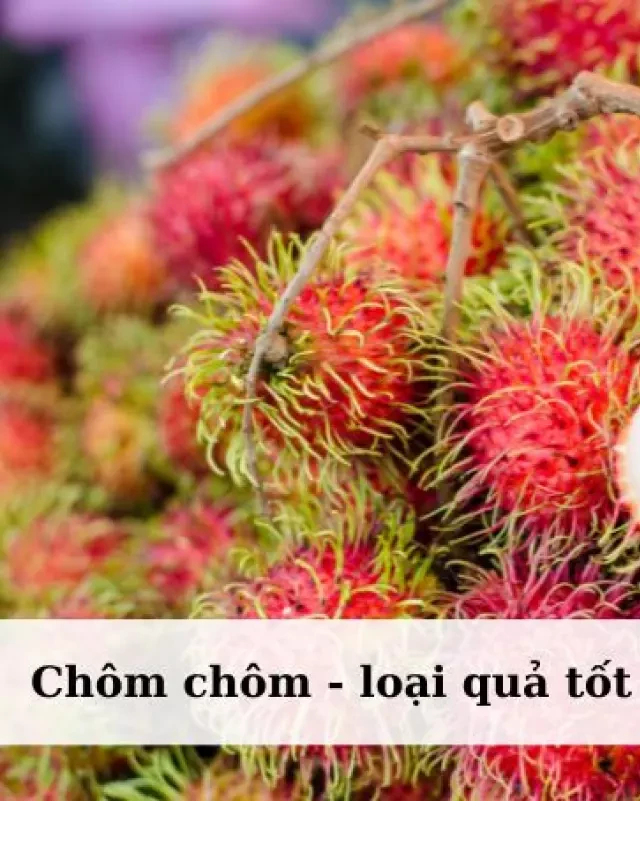   Bầu nên thưởng thức chôm chôm hay không? Có lợi ích hay ảnh hưởng đến thai nhi