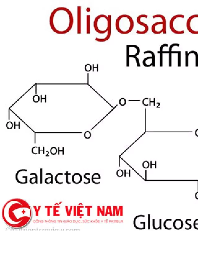   Cấu tạo và danh sách các đường đơn quan trọng trong cơ thể