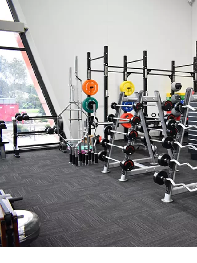   Dụng Cụ Tập Gym: Lựa Chọn Sáng Suốt Cho Sức Khỏe và Vóc Dáng