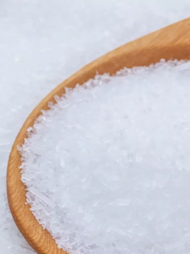   Bột ngọt Monosodium Glutamate: Sự thật và ứng dụng