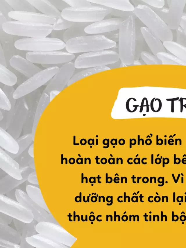   Phân biệt các loại gạo: Lựa chọn thông minh cho sức khỏe của bạn