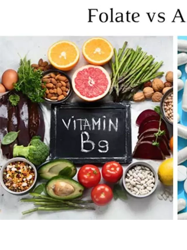   Vitamin B9: Vai trò và nguồn thực phẩm giàu vitamin B9 cho trẻ nhỏ