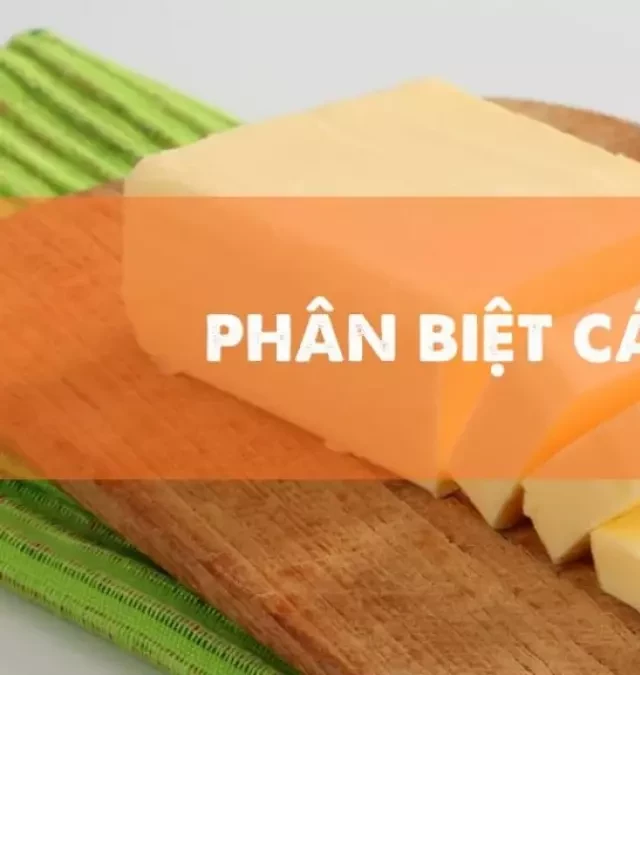   BƠ BÁNH MÌ: NHỮNG LOẠI KHÁC NHAU MÀ BẠN CẦN BIẾT