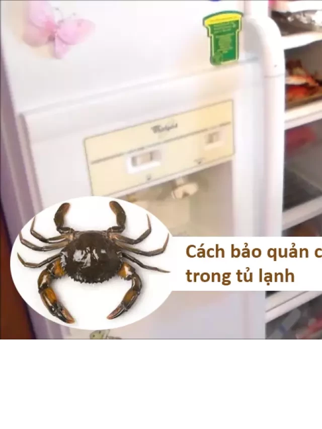   Cách bảo quản thịt cua cho bé ăn dặm lúc nào cũng tươi ngon