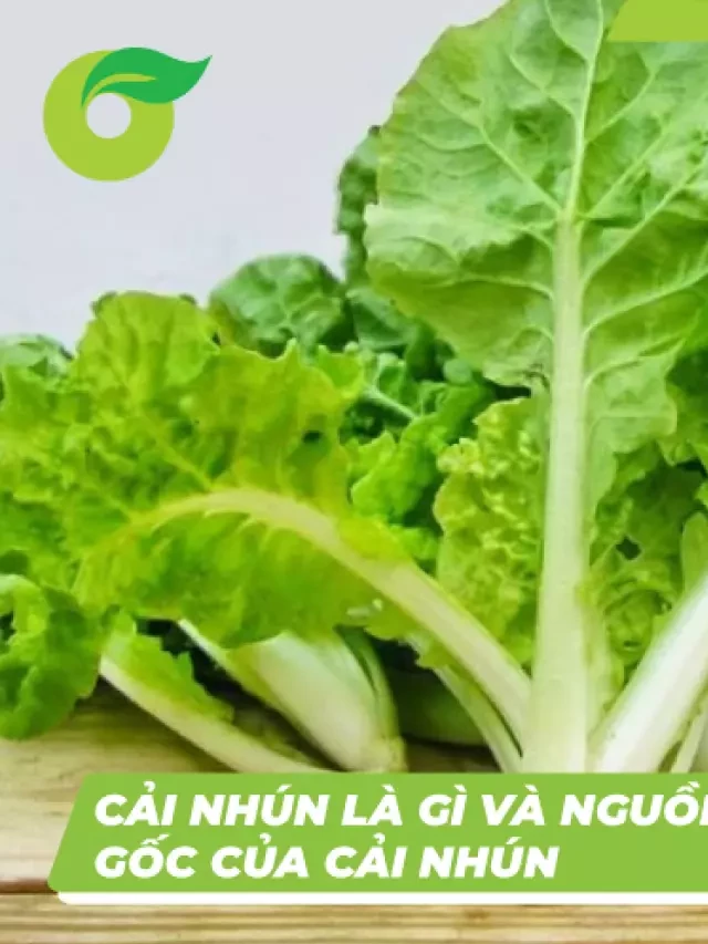   Cải nhún: Lựa chọn tốt cho một bữa ăn ngon và dinh dưỡng