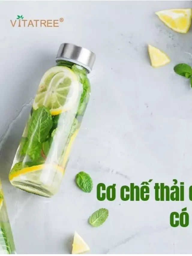   Cơ chế thải độc cơ thể tự nhiên có thể bạn chưa biết!