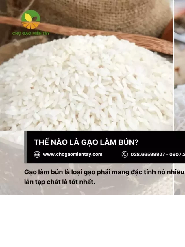   Gạo làm bún là gì? Bảng giá các loại gạo làm bún phổ biến