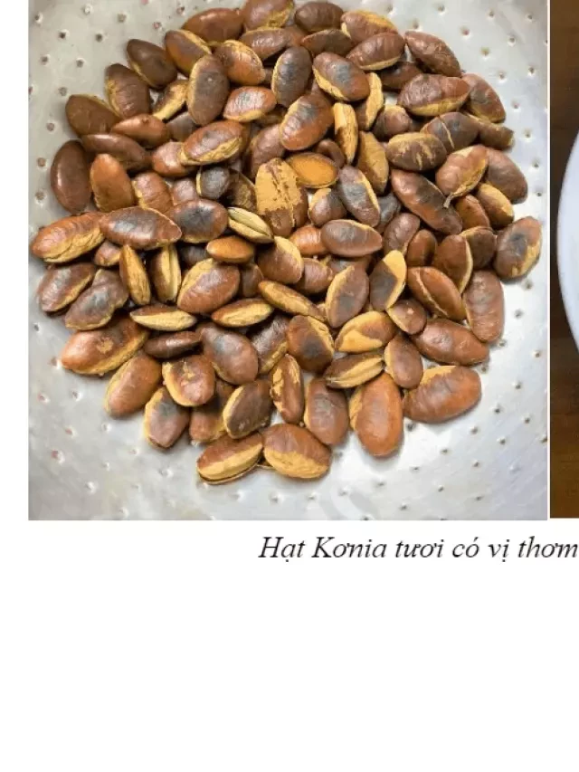   Hạt Konia - Khám phá những điều thú vị