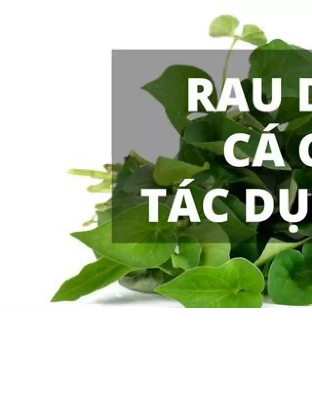   Hướng dẫn cách sử dụng rau diếp cá trị ho hiệu quả nhất