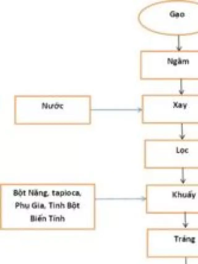   Quy trình sản xuất hủ tiếu: Tạo vị Dai, Ngon và bảo quản lâu hơn