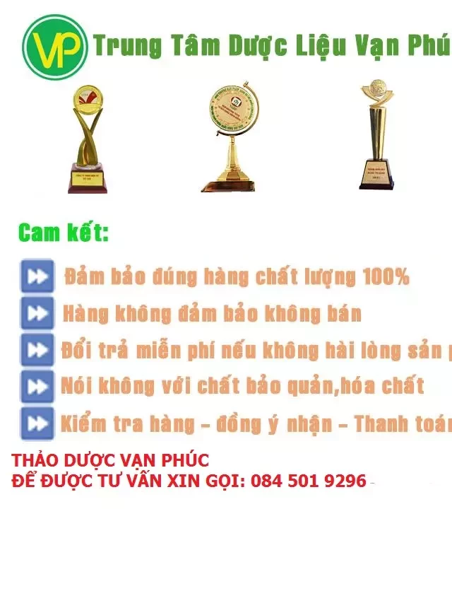   Thảo Dược Vạn Phúc - Sức Khỏe Từ Thiên Nhiên