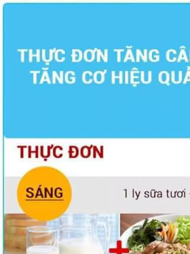   Thực đơn 1 tuần cho nam gầy giúp tăng cân hiệu quả