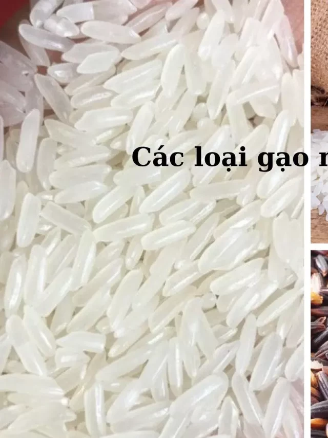   Top 13 loại gạo miền Bắc ngon nức tiếng làm quà biếu trong dịp Tết cổ truyền