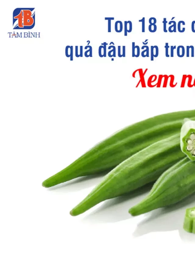   Tác dụng bất ngờ của quả đậu bắp trong điều trị bệnh