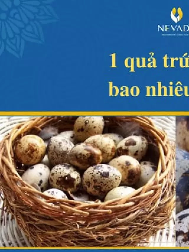   10 Quả Trứng Cút Chiên Bao Nhiêu Calo? Ăn Trứng Cút Luộc Có Mập Không? Chuyên Gia Giải Đáp