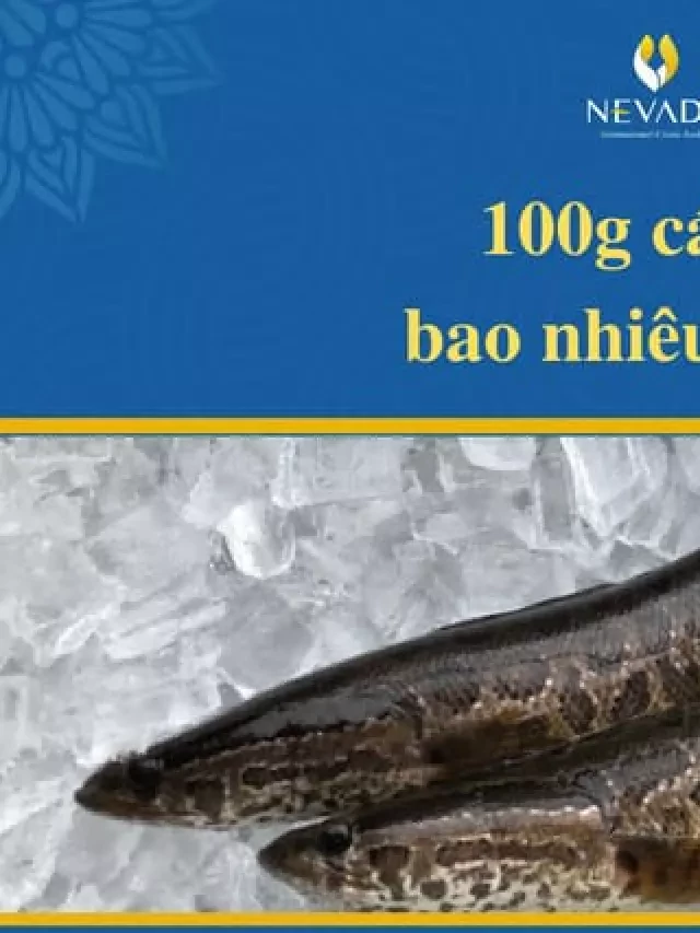   100g cá lóc chứa bao nhiêu calo? Ăn cá lóc có giảm cân không? Chuyên gia dinh dưỡng giải đáp