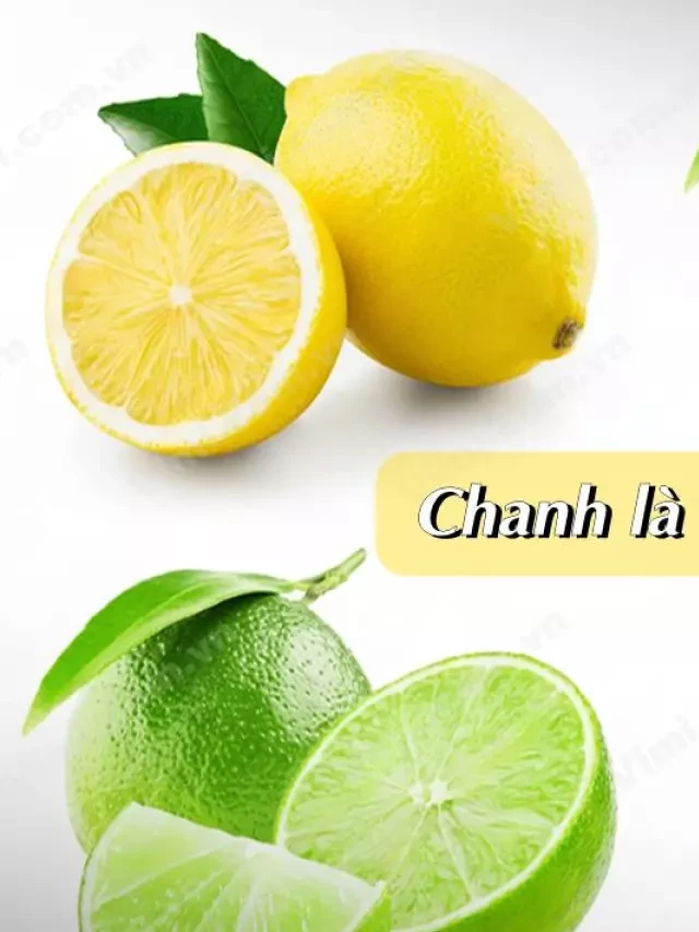   Axit trong chanh: Mang đến 6 lợi ích tuyệt vời cho sức khỏe