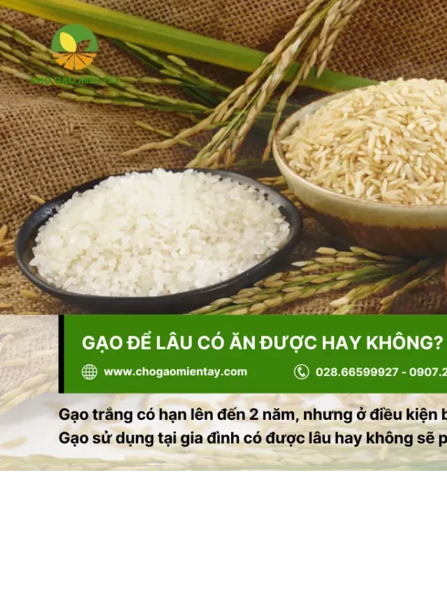   Gạo Lâu Được Bao Lâu? Những Điều Bạn Cần Biết