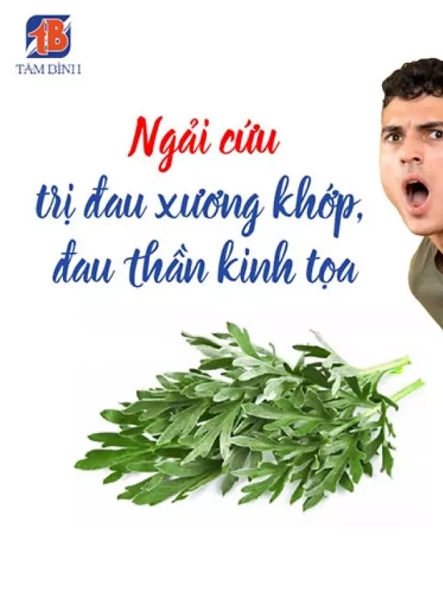   Ngải cứu - 15 công dụng không thể bỏ qua