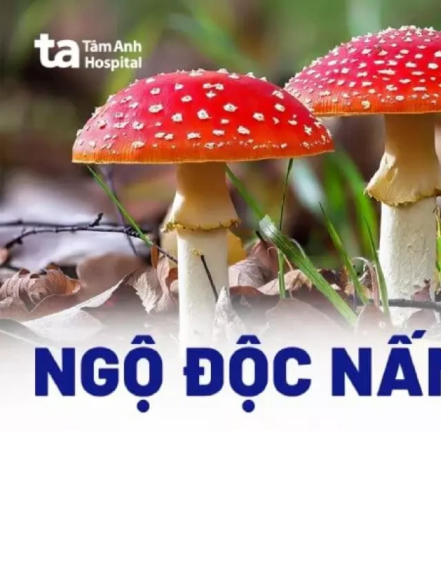   Ngộ độc nấm: Một mối nguy hiểm không thể coi thường