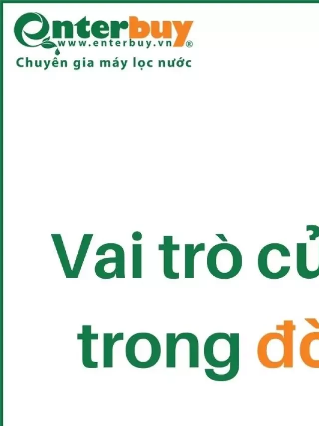   Tầm quan trọng và vai trò của nước trong đời sống con người