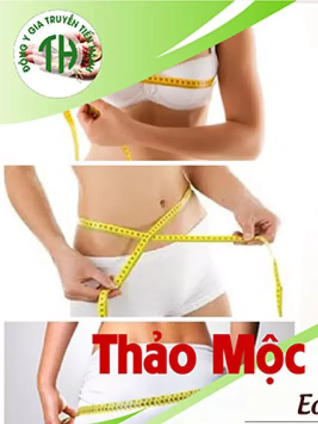   Thảo Mộc Giảm Cân Tiến Hạnh Mẫu Mới 2023: Sức Khỏe Và Vóc Dáng Thon Gọn