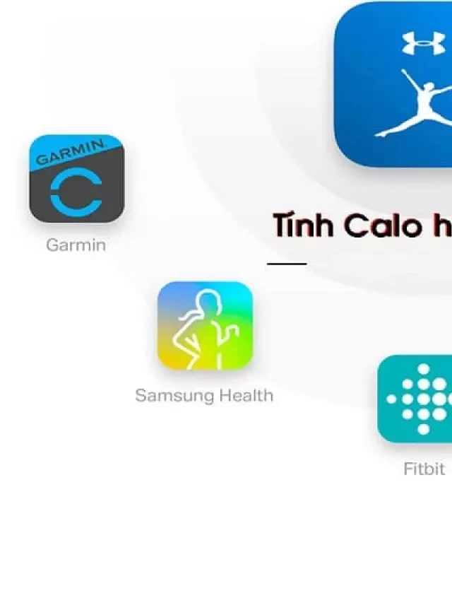   TOP 18 app tính calo miễn phí, chính xác nhất trên Android, iOS