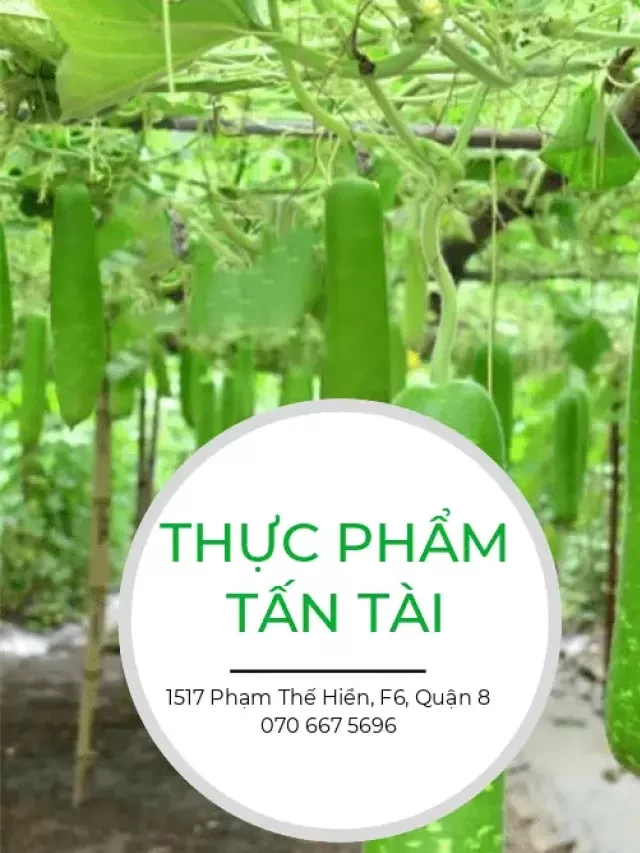   Trái Bầu - Những lợi ích sức khỏe và giảm cân