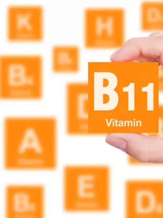   Vitamin B11: Vì sao cần thiết cho sức khỏe?