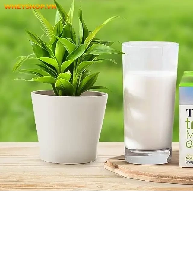   1 Hộp sữa TH True Milk: Theo dõi lượng calo và tác dụng của sữa tươi đối với cân nặng