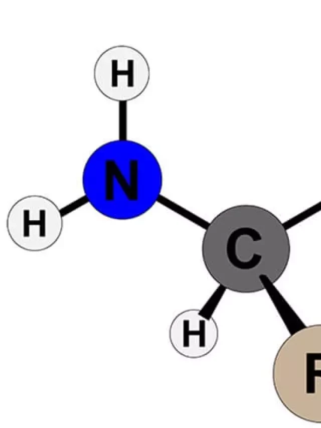   Amino Axit: Tính Chất Hóa Học, Công Thức Cấu Tạo &amp; Bài Tập